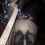 phoca_thumb_m_m.h.  13 Fotogalerie
